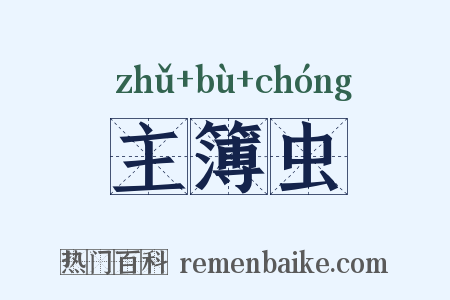 主簿虫是什么意思的图片